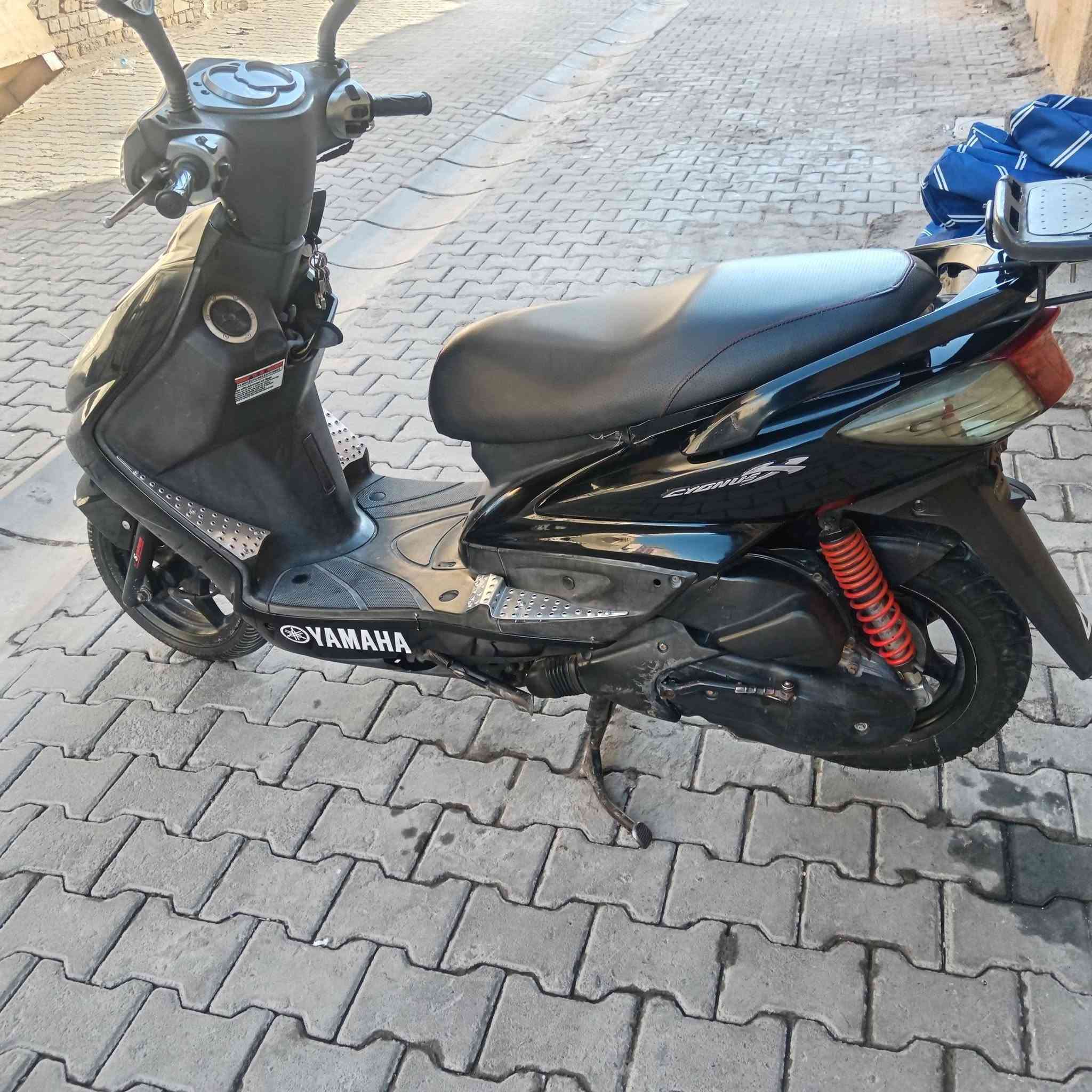 سلام وعليكم سكنس فحل للبيع دراجه مكفوله من كلشي أخت الرمبه العنوان بغداد الشعله سعر 800بيها مجال ***********
