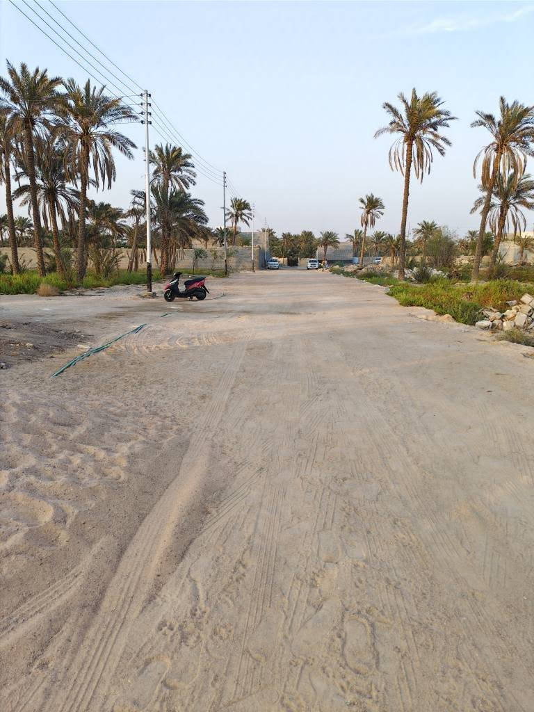 أبو الخصيب • ٢٠٠م • طابو زراعي