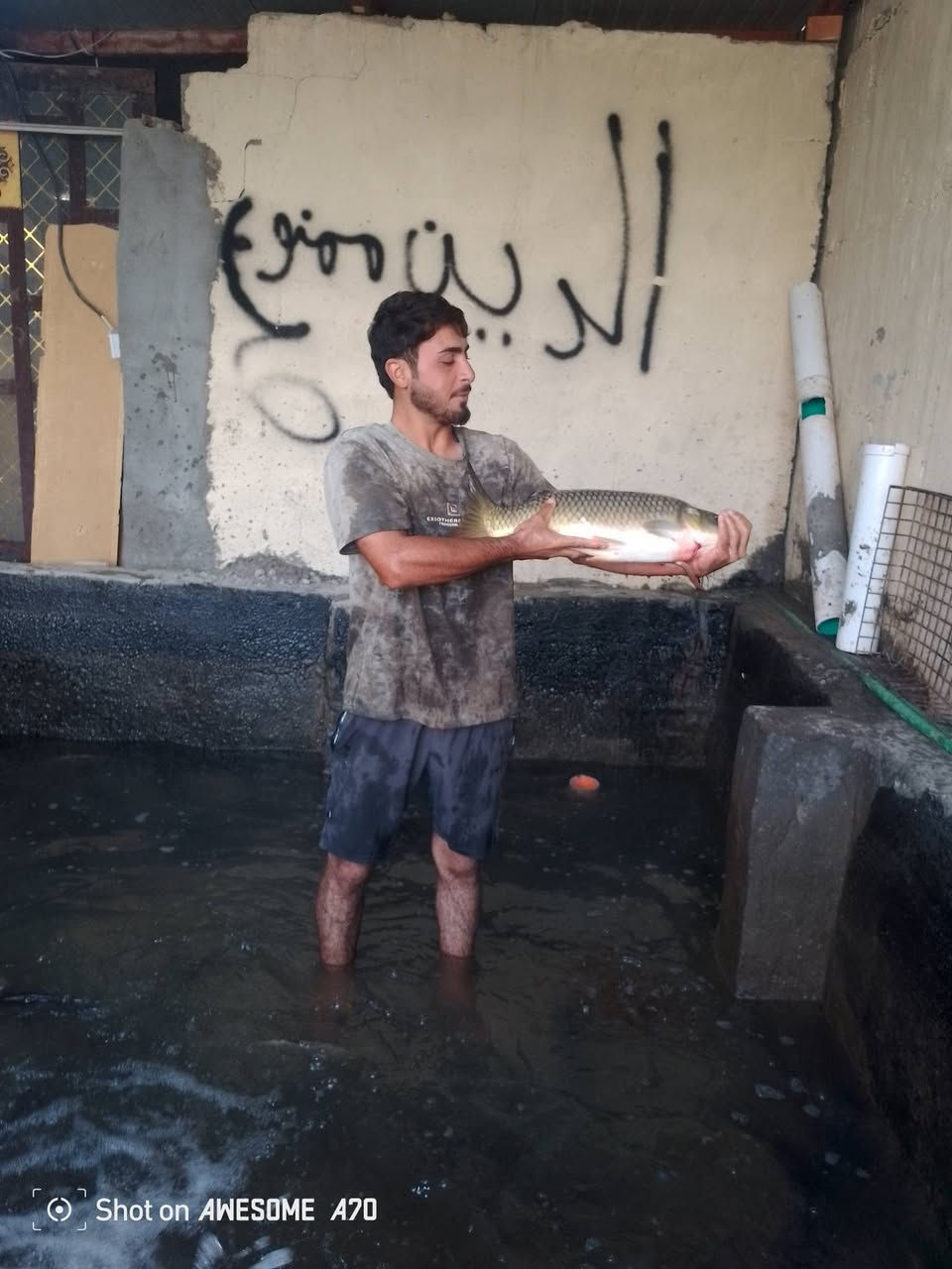 سمج • جملة ومفرد • جبله شارع السكلات