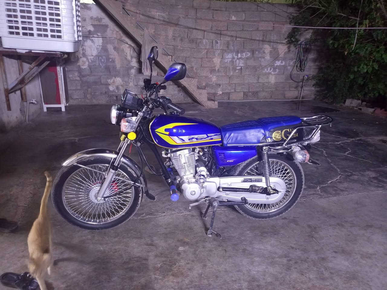 850
2024
***********
