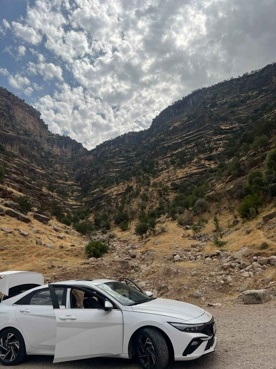النترا • ٢٠٢٤ • رقم اربيل
