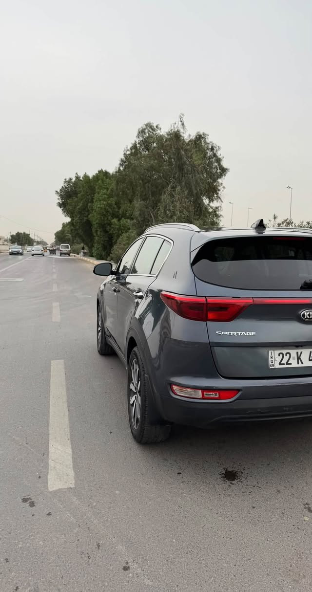 سبورتج • ٢٠١٧ • بانوراما