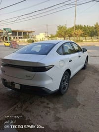 سيل فايف • ٨٠٠٠ • بابل