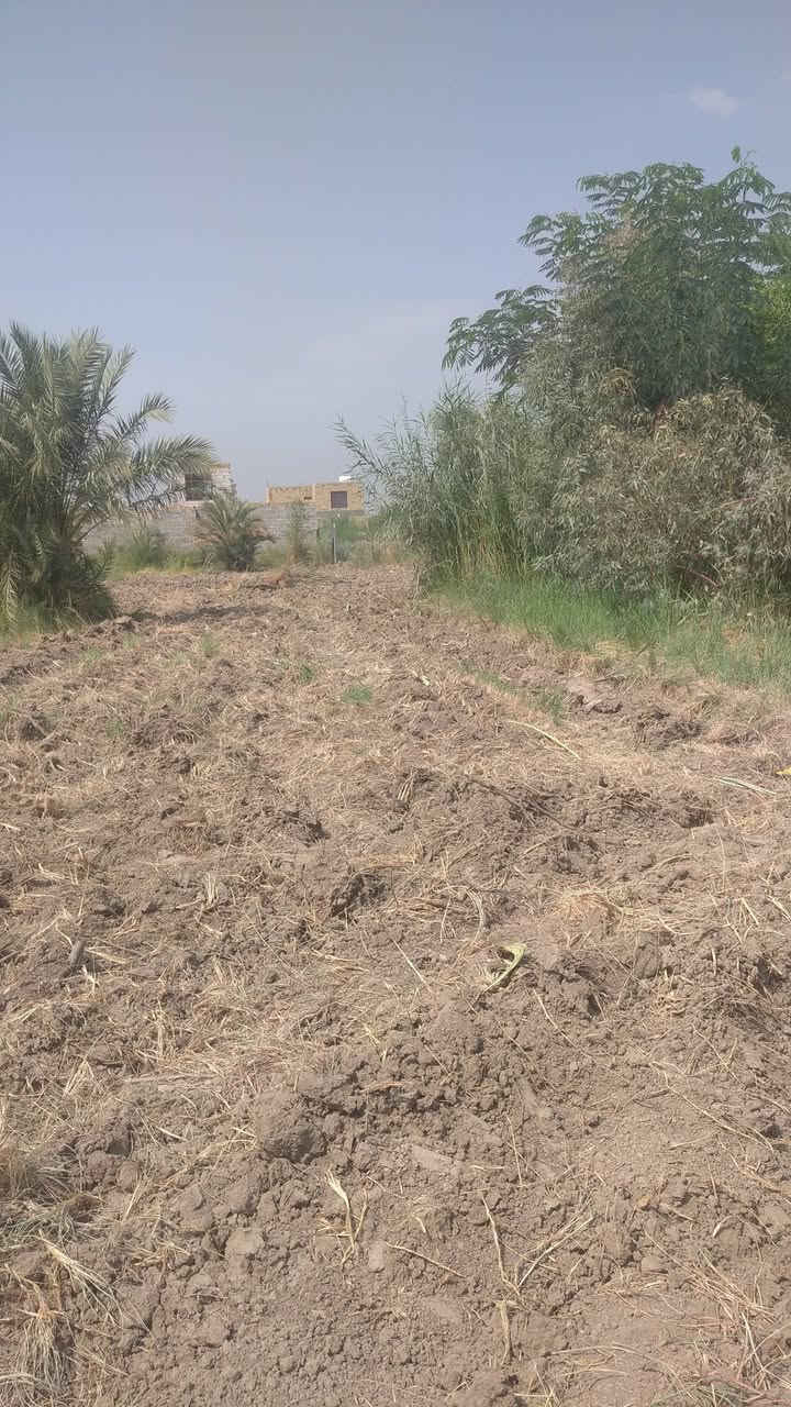 1400متر للبيع الواجهه 25 م/وبيت مساحته 700متر علمن ان البيت يحتوي على مشتملين المشتمل الاول مساحته 330واجهه 12/والمشتمل الثاني مساحته 370واجهه16/جميع الخدمات متوفره ماء اساله كهرباء وشارع تبليط لعنوان ديوانيه حي الأمين نزلت مجمع الأمير السكني زراعي سند 25 لاستفسار أكثر أتصل ***********
