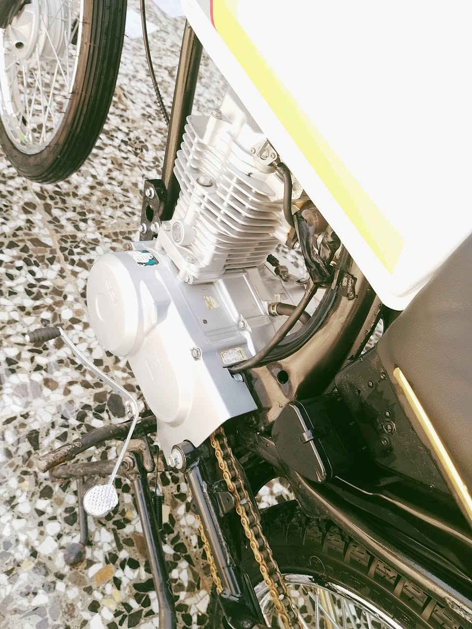 سلام عليكم دراجه كلك شلامجه مامفتوحه سعر 500 🔒مكان بل مهناويه 
تفاصيل خاص او واتساب 👈***********
