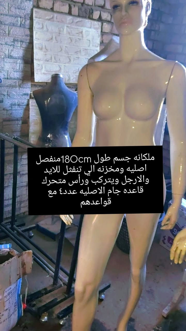 السلام علبكم الغراض مخزنه من ٢٠٢٠ استعمال قليل كان ولكن الان مخزن ونضيف واضح بالصور وعندي رف خشب ابيض طولمترين و٩٠ عدد ١٠ وفوق ماحسبتهم بالضبط  وعندي رف جام ابو ٦ طول متر و٢٠ وعرض ٣٠ وعندي تعاليك بنطرون الذهببه عدد تقريبا ١٢  انطي سعرك الي يرضى بي الله واي كسران احذف تعليق وشكرا الكم 
رقمي بي واتس *********** 
مكاني بغداد
