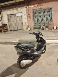 ماكس • كامله • البصره