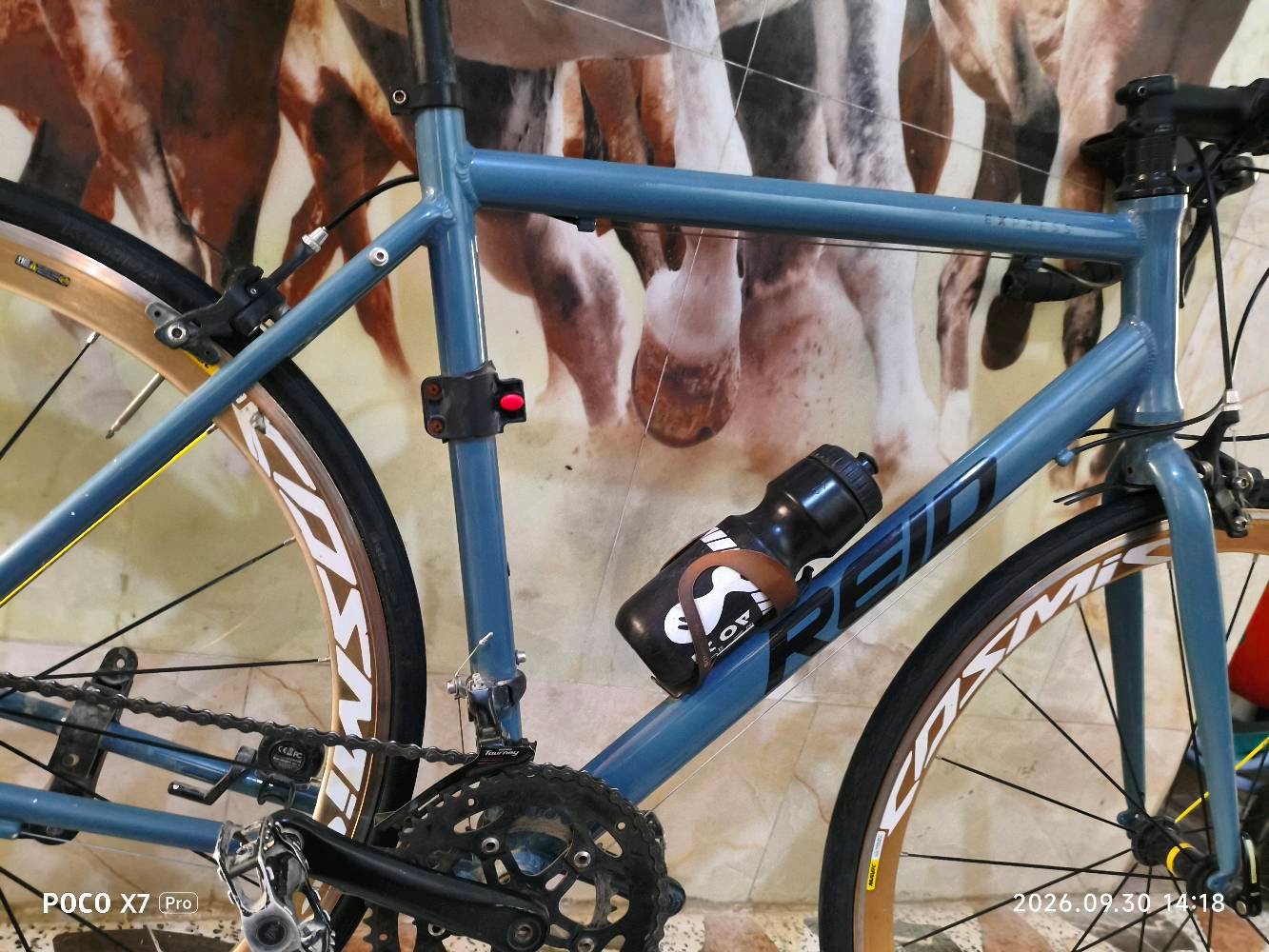 رود ماركه REID الغنيه عن التعريف
سستم SHIMANO TOURNY 
7/2 
حجم L قياس 54
ستيرن كاربون ماركه ec90
بطيخات كاربون طرب ماركه MAVIC
وياله ماركه كوزميك اصدار PRO

الدراجه وياها ملحقات هدايا
عداد / لايت / قاعده ومطاره/ قفل اصلي

السعر 340 الف وبي مجال للشراي 
للاستفسار خاص واتساب(***********)@الجميع
