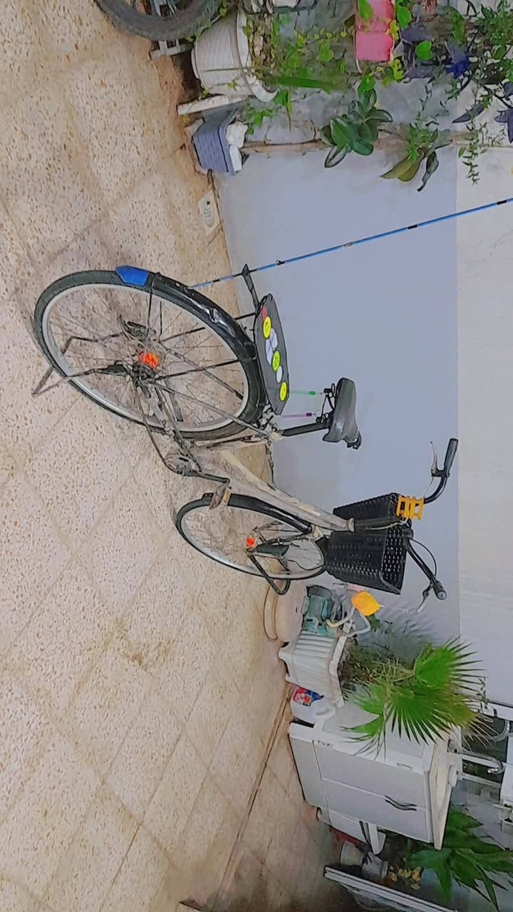 بسكليت • للبيع