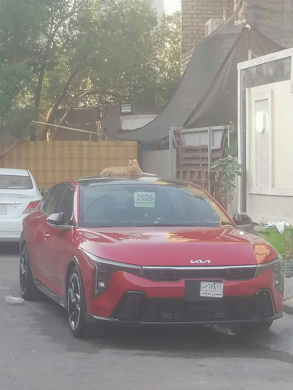 ٢٠٢٥ جيتي لاين فول الفول شنو مواصفات البالك موجوده بيهه كشنات حار بارد ميموري حفض ذاكره بنرومه شفتات قياده ذاتيه توقف ذاتي سياره هواي بيهه مواصفات
مكانهه الزعفرانيه فلكت المعهد مراقم بغداد تحويل ثاني يوم سعرهه ١٧٥
*********** سياره بدون اي تبديل قطعه نفسهه الأضرار مصلحه
