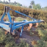 خفيف • كفاله عامه • دلي عباس