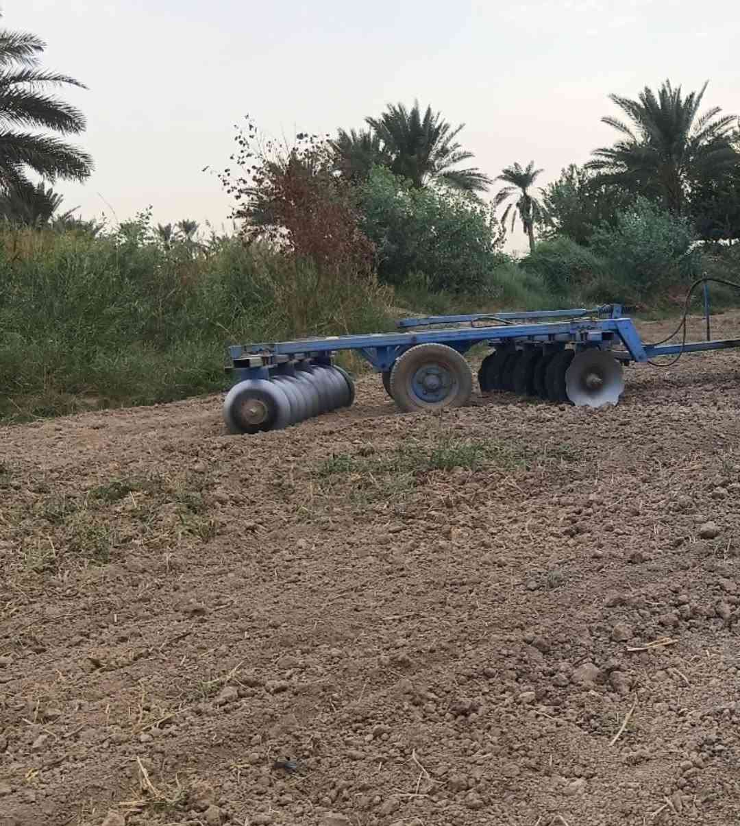 دسك • ٢٠ دنماركي • شغله يخبل
