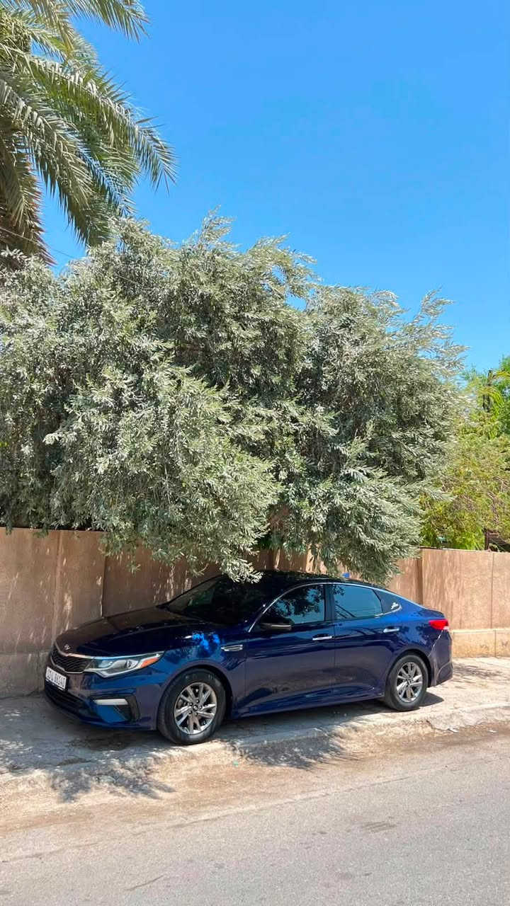 اوبتما2019وارد امريكي
حادثها المكينه محروكه مبيها ضربه مكفوله شواصي ولغود
المواصفات
شاشه جبيره
حساسات خلفيه
مواصفات الfe معروفه
وسونارها موجود
***********
متواجد اتصال واتساب
