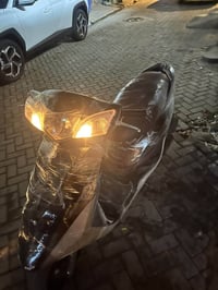 بريز بغبغاء • كفالة • ٤ اشهر