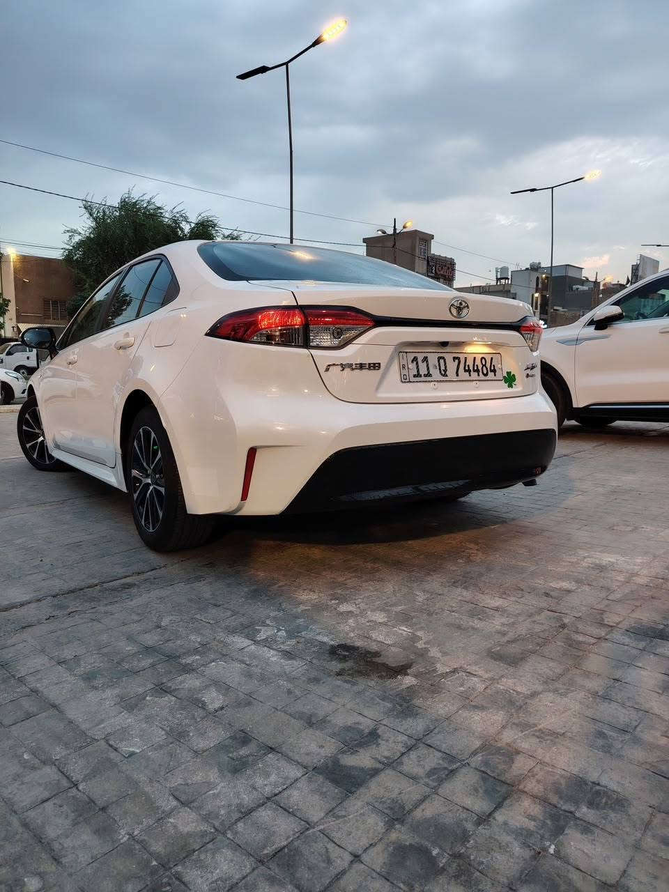 فول • ٢٠٢٥ • بغداد
