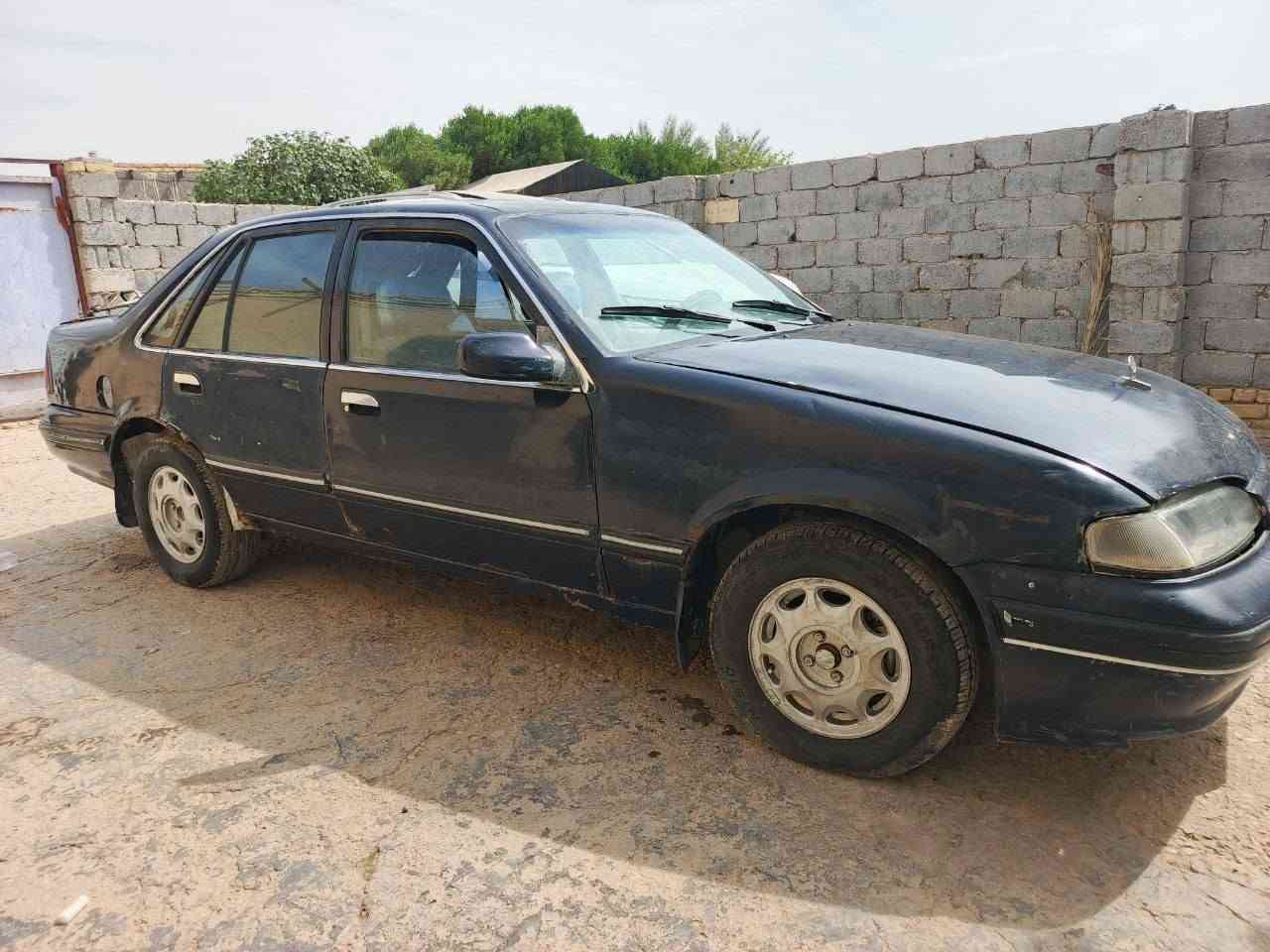 برنس • ١٩٩٥ • رقم كربلاء