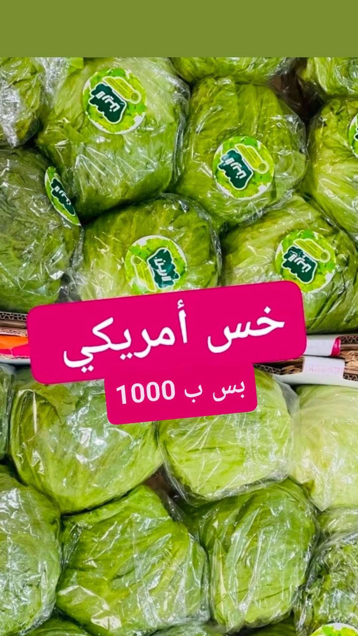 موز أكوادور • فطر فرش • توصيل