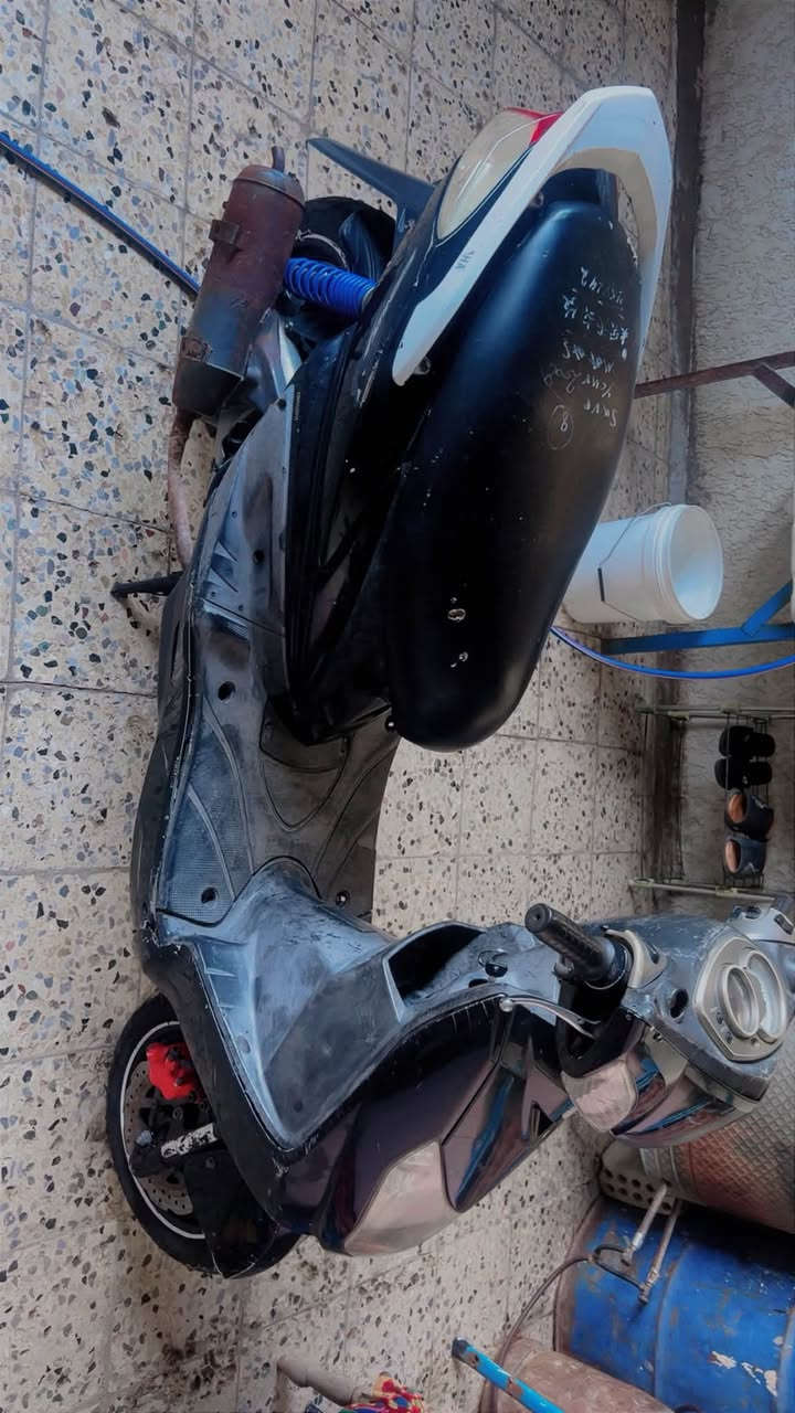 سكنس فحل ياباني بلادية سعر 450 بيهة مجال مكاني حي اور ***********
