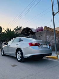 ماليبو • ٢٠٢١ • رقم ذي قار