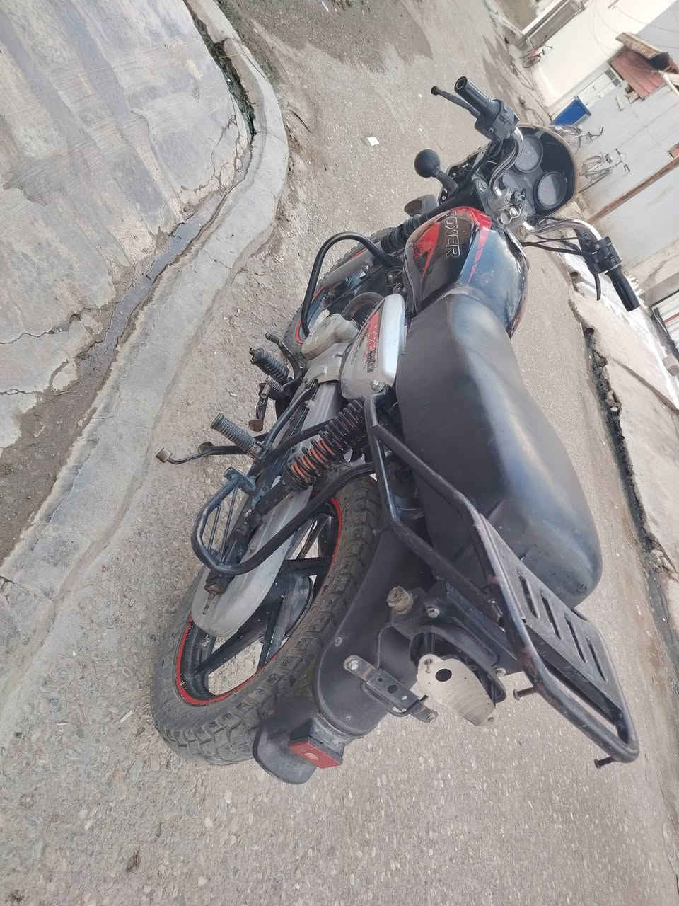 بوكسر جبلي • ١٩ • بدون اوراق