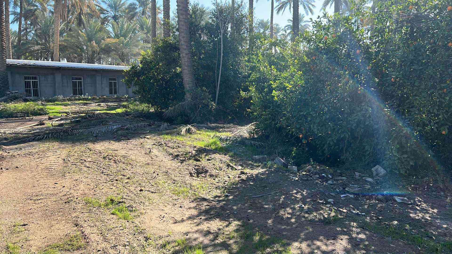 شركة دواجن للبيع مجازة دونمين مع بستان كهرباء ⚡️ وماء مكانها ناحية جديدة الشط قرية الحويش قرب منطقة الراشدية لاستفسار لاتصال على الرقم ***********
