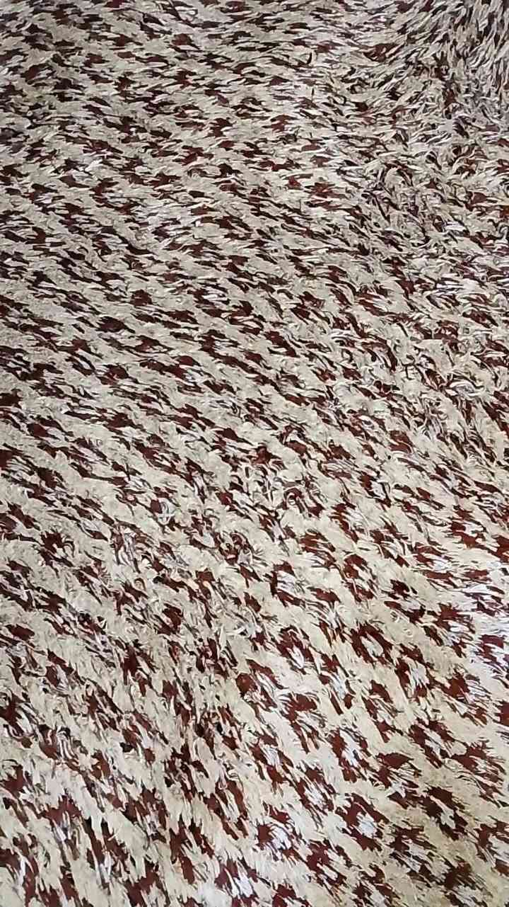 شلع • سعر مناسب • فيه مجال