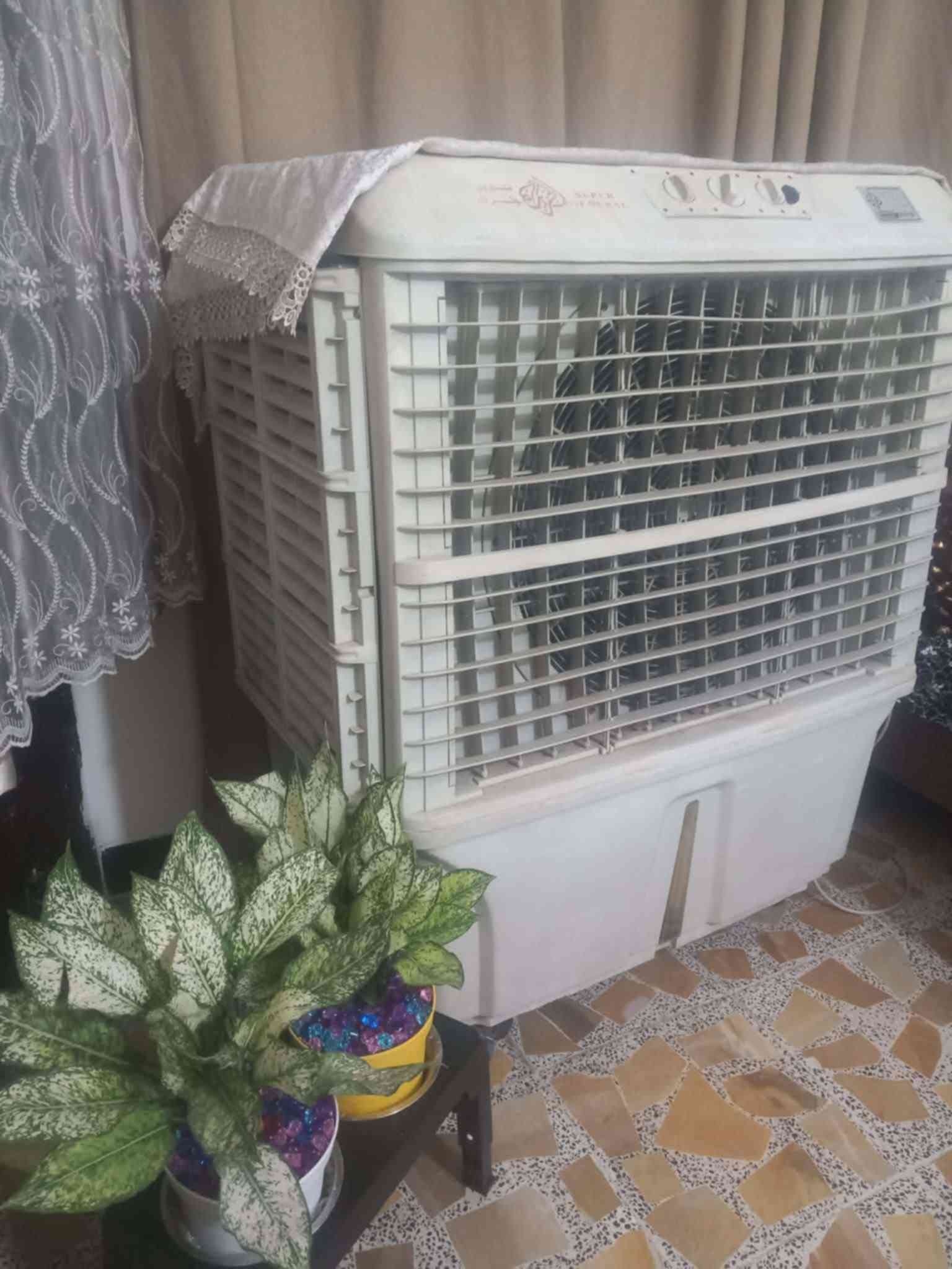 طباخ • كنفره • نضيفه