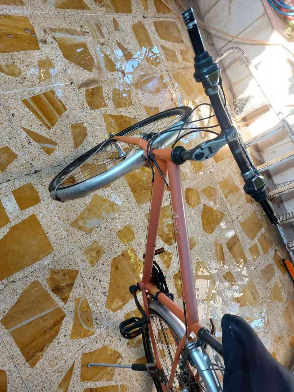 باسكل • حجم 28 • نظيف