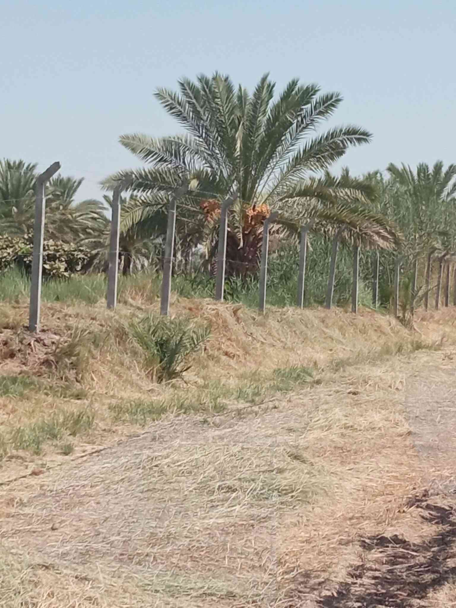 🏗️ تريد سياج B.R.C متين وأنيق وبسعر مناسب؟
🔥 السعر يبدأ من 4,000 دينار للمتر فقط!
شركة التساهل الهندسية تقدم لكم: ✅ تصميم وإشراف وتنفيذ هندسي
✅ عمل ونصب أسيجة B.R.C
✅ تنفيذ في بابل وكربلاء
✅ أسعار تبدأ من 4 آلاف وتصل إلى 9 آلاف للمتر حسب التصميم والمواصفات
📲 للاستفسار والحجز واتساب:
***********
📞 للتواصل:
***********
***********
***********
شركة التساهل الهندسية — جودة وتنفيذ يستحق ثقتكم.
