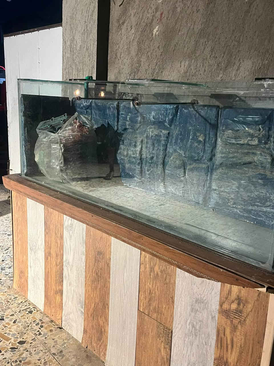 🐠 حوض سمك للبيع – كامل الأغراض 🐠
حوض سمك كبير للبيع مع جميع أغراضه كاملة، جاهز للاستخدام، ويجي وياه الحجر والديكور.

📏 الأبعاد:

* العرض: 166 سم

* الارتفاع الكلي: 156 سم

* عرض الحوض: 43 سم

✅ الحوض

✅ القاعدة

✅ الحجر والديكور

✅ جميع الأغراض الخاصة بالحوض

💰 السعر: [خاص]

📍 الموقع: [بغداد حي الانتصار]

      التواصل:[***********]

📩 البيع للجادين فقط
