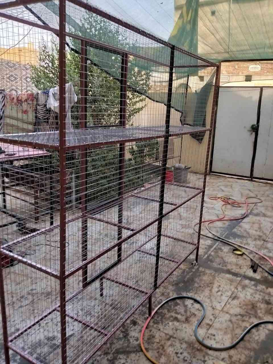 متاح قفص 3 خانات طول الخانه 2 متر العرض 60 في 60    ***********
