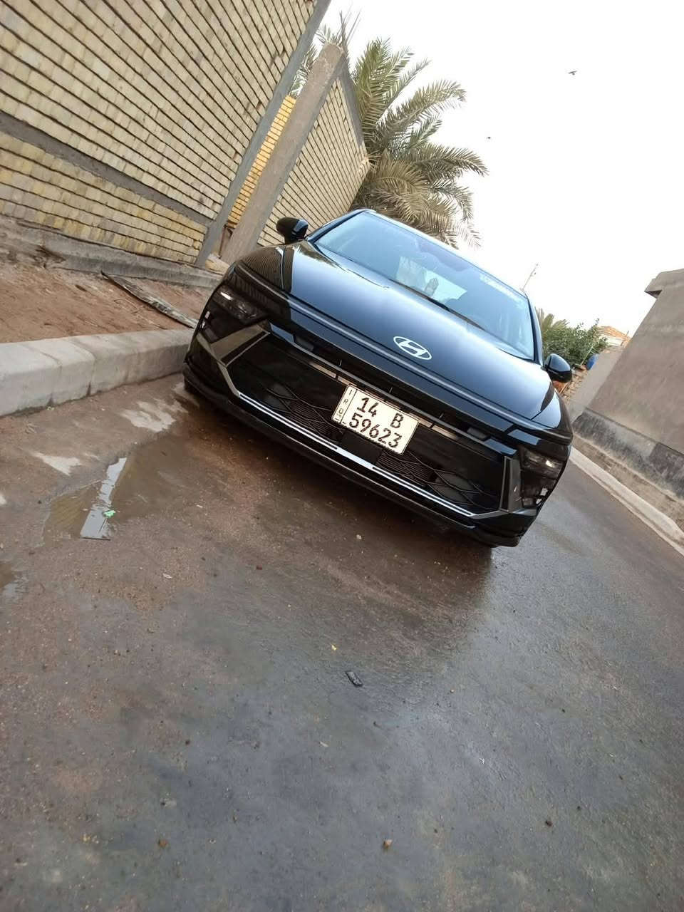 النترا • ٢٠٢٤ • رقم بصره