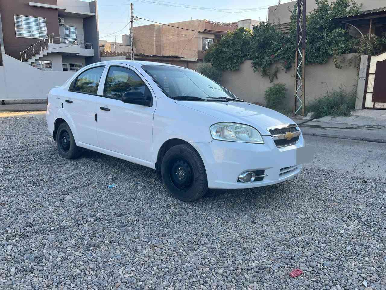 ٢٠٠٩ • رقم اربيل • بدون صبغ