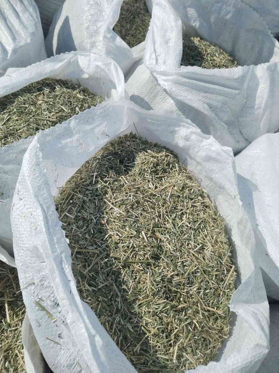 متاح 50 كونيه تبن جت نضيف
زوج ب12 
مكاني الصقلاويه
***********
