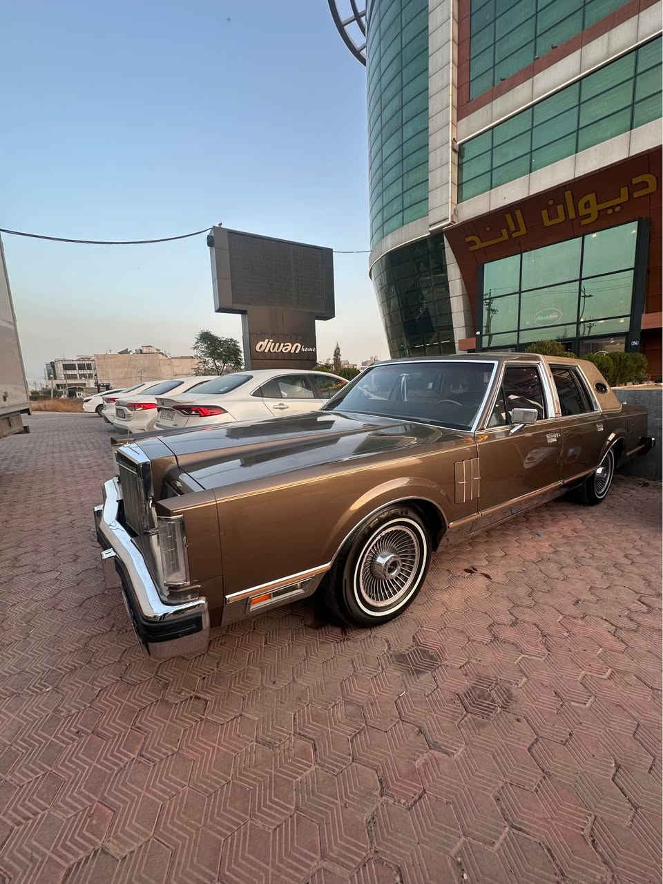 أربيل • واتساب