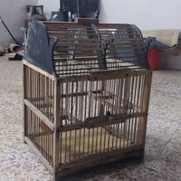 قفص • نظيف • حلو