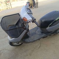 منغولي • نظيفه • كربلاء