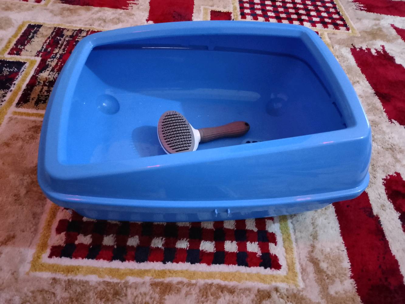 ليتر بوكس • للقطط • صندوق رمل