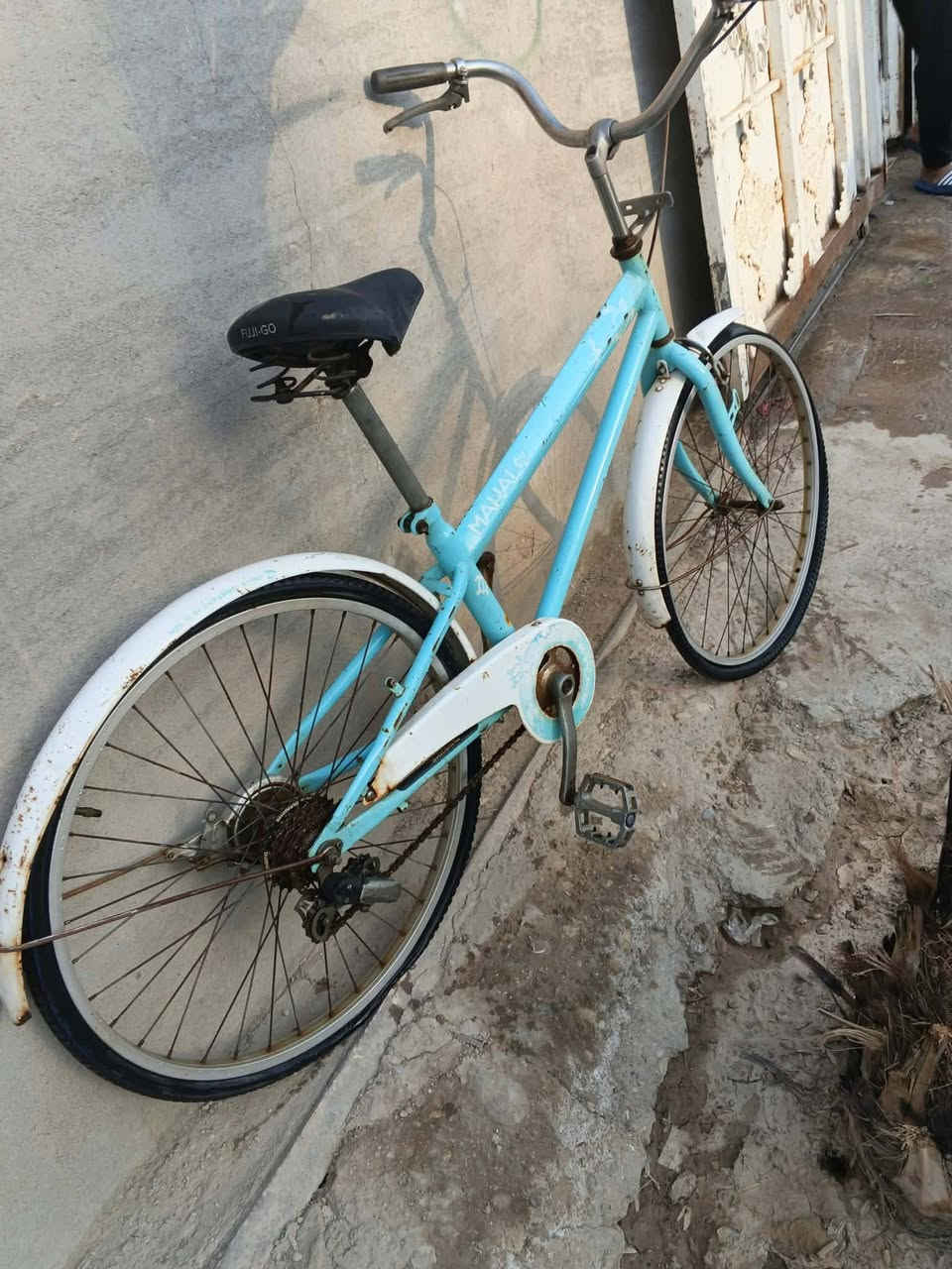 بسكليت • الكوت البيظاء • متوفر