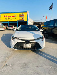 كورلا • ٢٠٢٠ • رقم بغداد