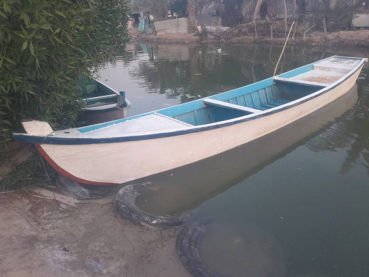 جينكوه • ١٥م • ٥م