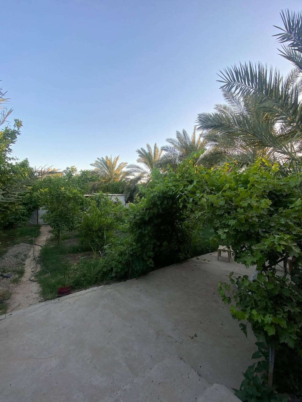 🏠 دار سكنية للبيع موقع مميز 
📐 المساحة: 625 متر
📏 الواجهة: 12.5 متر
🏠 نزال الدار: 50 متر
📝 السند : طابو ملك صرف زراعي تحويل بأسم المشتري مباشر

بناء نظام عگادة يعني راسك بارد بالصيف وبي ضمان 100 سنه البناء
📍 الموقع: بغداد-- جسر ديالى – التويثة الغربية، قرب جامع بلال الحبشي، قريب من الشارع الرئيسي .
✅ موقع هادئ ومناسب للسكن.
✅ بناء300م يشمل دار مع كراج وحديقه 80م.
✅325م بستان مشجر من حمضيات ونخيل 
💵 سعر مناسب
📞☎️ للاستفسار التواصل:
عن طريق الماسنجر أو الاتصال
***********
