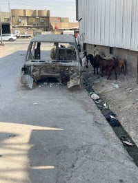 هيكل • رقم كربلاء • باسمي