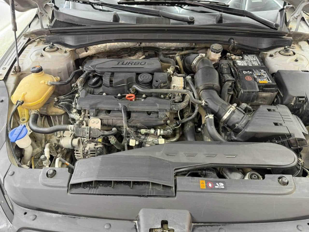 السلام عليكم

   Kia k5  Gt-line 2023

كي فايف جيتي لاين 
 
للبيع 

اللون:اسمنتي

حجم المحرك:1.6تيربو 🚀

وارد امريكي

الضرر:جاملغ خلفي  وبالعراق نفس الجاملغ الخلفي نضرب وتعدل 
وباب السايق مبدل بلادي وبيها تعديل بارد

( بدون لغد وبدون ايرباك)

موضح كلشي بالسونار منزله بالصور

السيارة ماشية:58 الف km

مواصفات:

السيارة بصمة 

بصمة ابواب عدد2

فتحة سقف بانوراما بالكامل

داخل احمر

4 انظمة قيادة

رادارات امامية وخلفية وجانبية

حساسات امامي خلفي

جنطة ذكي

نقطة عمياء

تشغيل عن بعد

قيادة ذاتية

دخول ذكي 

كروس مثبت سرعة

تحديد مسار

شحن لاسلكي 

هاند بريك كهربائي

اوتو هولد

كشن السائق كهرباء

وباقي مواصفات الجيتي لاين معروفة

اخوتي كلشي موضح بالسونار والسيارة كدامكم 

الشراي يجي يشوفها ويفحصها ويقتنع بيها وعيوني اله

رقمها بغداد بأسمي تحويل ثاني يوم

السعر (185)
مكانها بغداد-الحرية

***********
