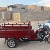 ستوتة فرس • ٢٠١٥ • بمعاملة المرور