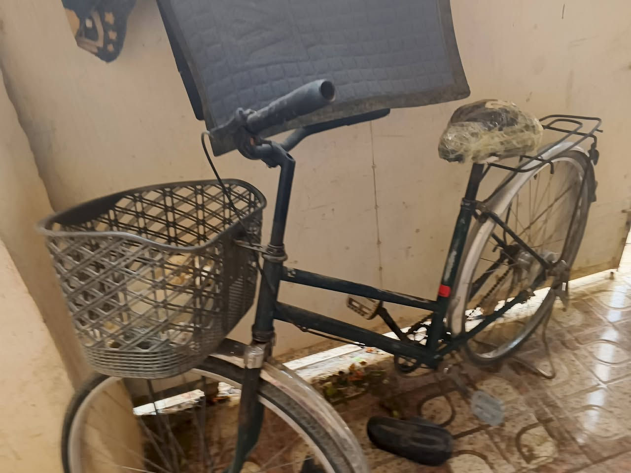 بايسكل • زيتوني • للبيع