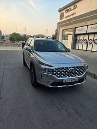 سنتافي ٢٠٢٣ • هايبرد • بدون صبغ