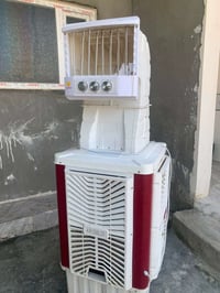 كونفيرة • حجم كبير • بلا عيب