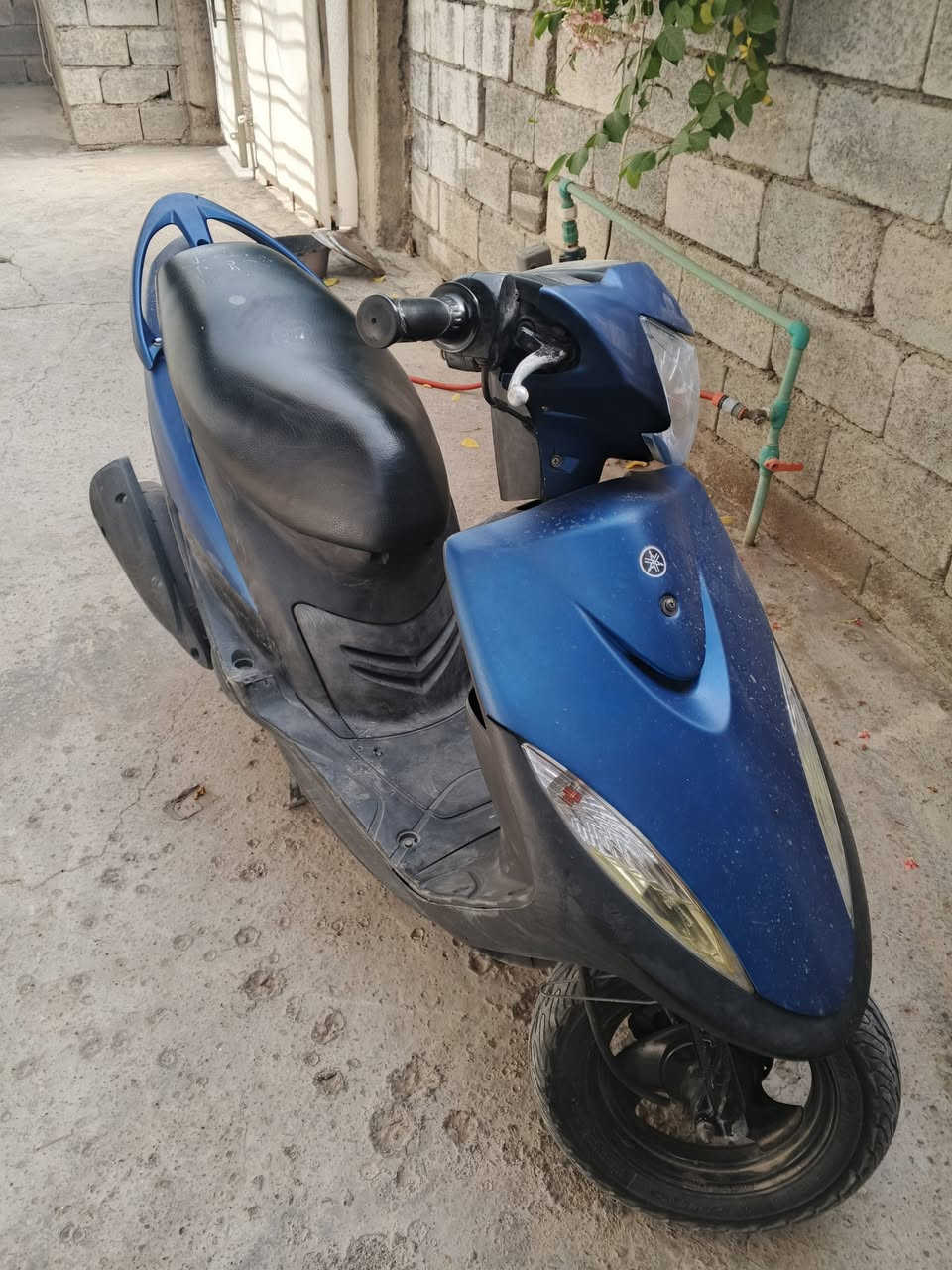 ماكس عدلة