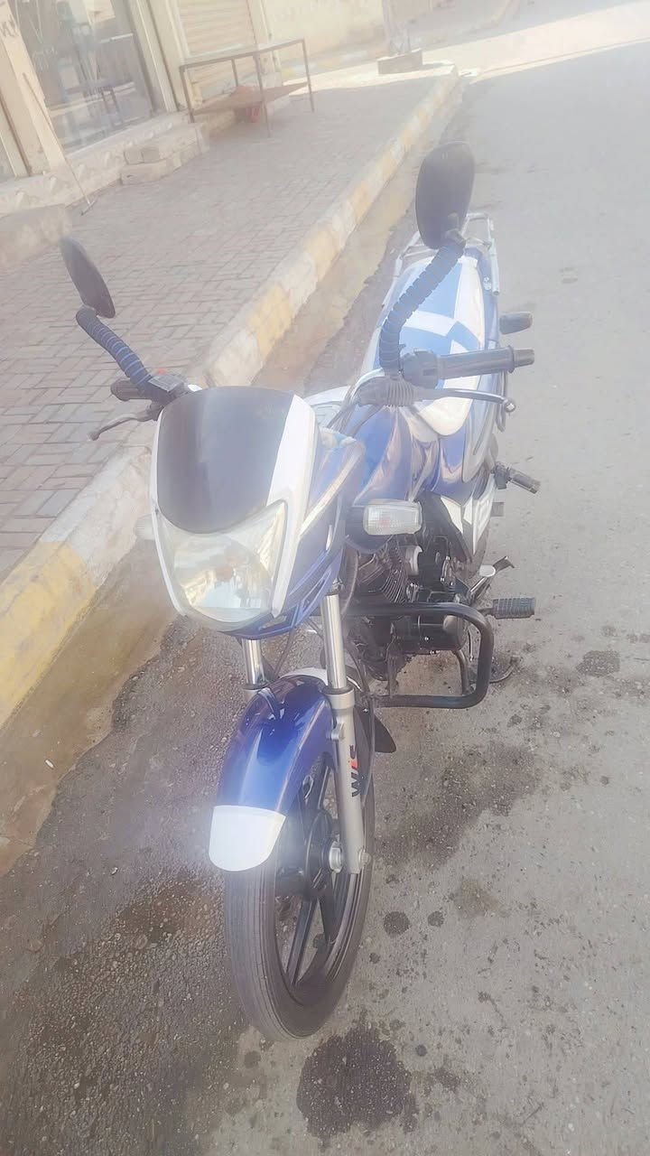 ٢٠٢٠ • أوراق كاملة • الرمادية